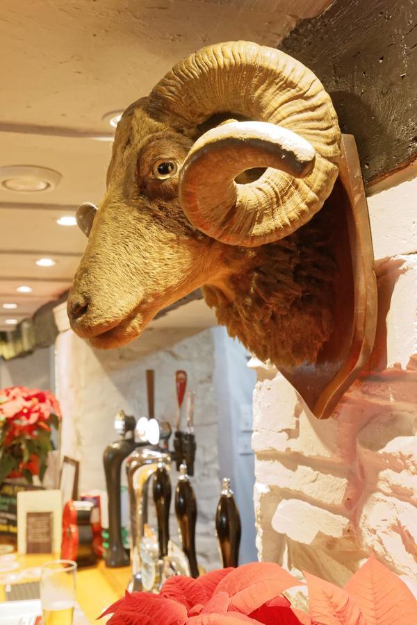 Rams Head Inn Dolton Ngoại thất bức ảnh